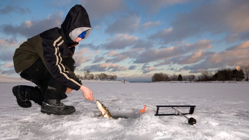 Experience the Thrill of Ice Fishing at UK Live Casinos Today
